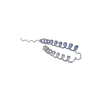 15572_8apj_O1_v1-0
rotational state 2d of Trypanosoma brucei mitochondrial ATP synthase