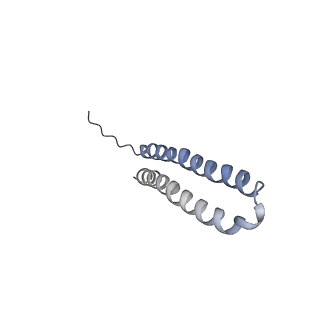 15572_8apj_P1_v1-0
rotational state 2d of Trypanosoma brucei mitochondrial ATP synthase
