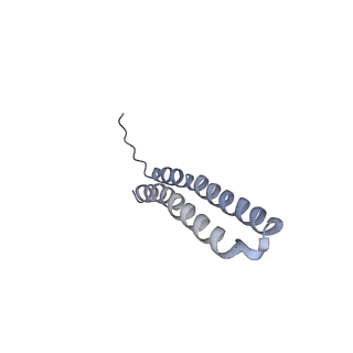 15572_8apj_Q1_v1-0
rotational state 2d of Trypanosoma brucei mitochondrial ATP synthase