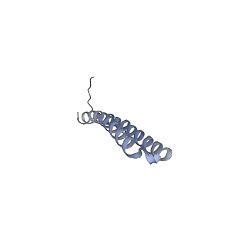 15572_8apj_R1_v1-0
rotational state 2d of Trypanosoma brucei mitochondrial ATP synthase