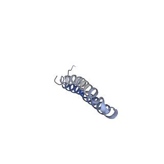 15572_8apj_S1_v1-0
rotational state 2d of Trypanosoma brucei mitochondrial ATP synthase