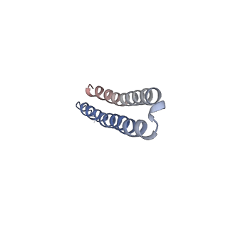 15572_8apj_U1_v1-0
rotational state 2d of Trypanosoma brucei mitochondrial ATP synthase