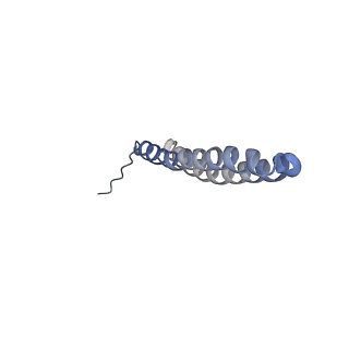 15572_8apj_W1_v1-0
rotational state 2d of Trypanosoma brucei mitochondrial ATP synthase