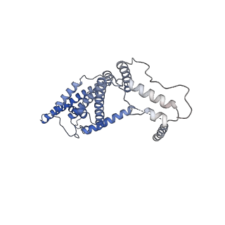 15572_8apj_d_v1-0
rotational state 2d of Trypanosoma brucei mitochondrial ATP synthase