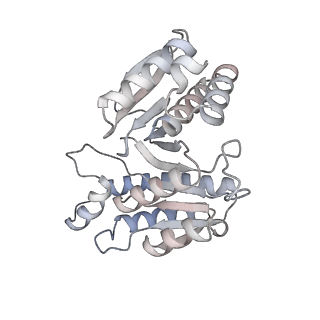 15572_8apj_g_v1-0
rotational state 2d of Trypanosoma brucei mitochondrial ATP synthase