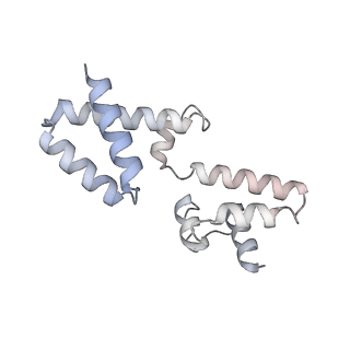 15572_8apj_h_v1-0
rotational state 2d of Trypanosoma brucei mitochondrial ATP synthase