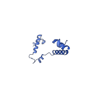 15572_8apj_i_v1-0
rotational state 2d of Trypanosoma brucei mitochondrial ATP synthase