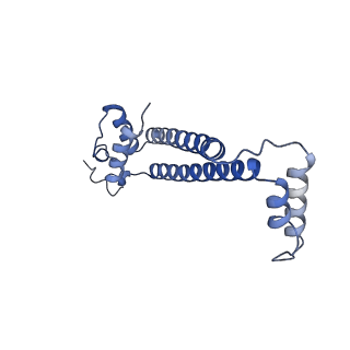 15572_8apj_j_v1-0
rotational state 2d of Trypanosoma brucei mitochondrial ATP synthase