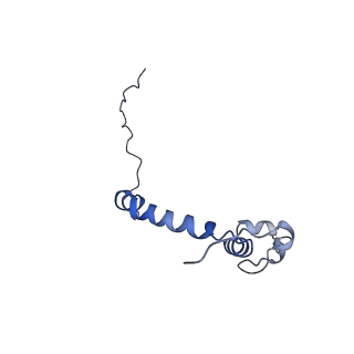 15572_8apj_k_v1-0
rotational state 2d of Trypanosoma brucei mitochondrial ATP synthase