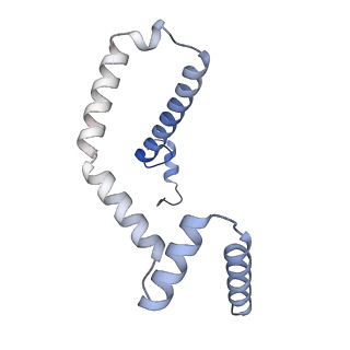 15572_8apj_m_v1-0
rotational state 2d of Trypanosoma brucei mitochondrial ATP synthase