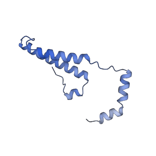 15572_8apj_o_v1-0
rotational state 2d of Trypanosoma brucei mitochondrial ATP synthase
