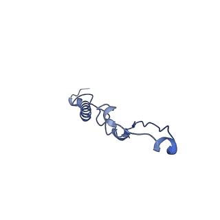 15572_8apj_p_v1-0
rotational state 2d of Trypanosoma brucei mitochondrial ATP synthase