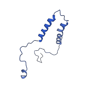 15572_8apj_q_v1-0
rotational state 2d of Trypanosoma brucei mitochondrial ATP synthase