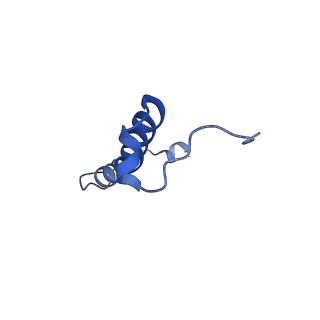 15572_8apj_r_v1-0
rotational state 2d of Trypanosoma brucei mitochondrial ATP synthase