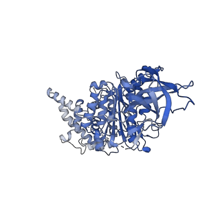 15573_8apk_A1_v1-0
rotational state 3 of the Trypanosoma brucei mitochondrial ATP synthase dimer