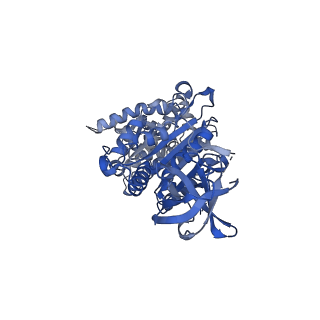 15573_8apk_B1_v1-0
rotational state 3 of the Trypanosoma brucei mitochondrial ATP synthase dimer