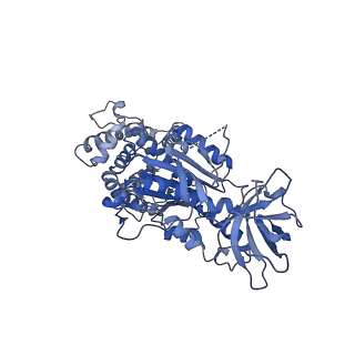15573_8apk_C1_v1-0
rotational state 3 of the Trypanosoma brucei mitochondrial ATP synthase dimer