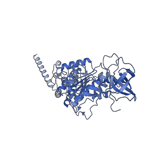 15573_8apk_D1_v1-0
rotational state 3 of the Trypanosoma brucei mitochondrial ATP synthase dimer