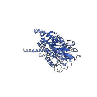 15573_8apk_E1_v1-0
rotational state 3 of the Trypanosoma brucei mitochondrial ATP synthase dimer