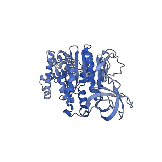15573_8apk_F1_v1-0
rotational state 3 of the Trypanosoma brucei mitochondrial ATP synthase dimer