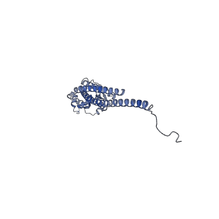 15573_8apk_G1_v1-0
rotational state 3 of the Trypanosoma brucei mitochondrial ATP synthase dimer