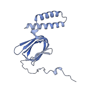 15573_8apk_H1_v1-0
rotational state 3 of the Trypanosoma brucei mitochondrial ATP synthase dimer