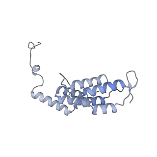 15573_8apk_L1_v1-0
rotational state 3 of the Trypanosoma brucei mitochondrial ATP synthase dimer