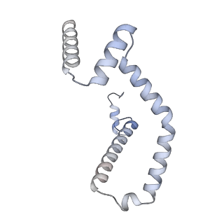 15573_8apk_M_v1-0
rotational state 3 of the Trypanosoma brucei mitochondrial ATP synthase dimer