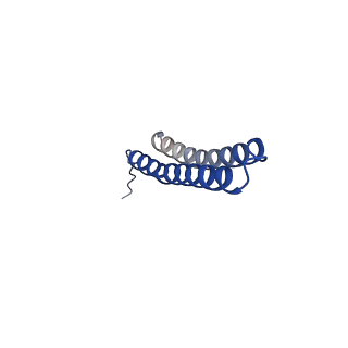 15573_8apk_O1_v1-0
rotational state 3 of the Trypanosoma brucei mitochondrial ATP synthase dimer