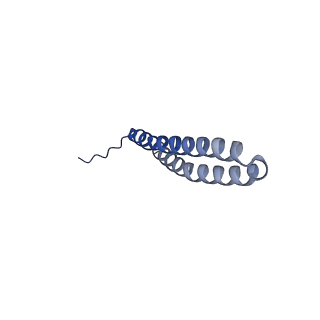 15573_8apk_Q1_v1-0
rotational state 3 of the Trypanosoma brucei mitochondrial ATP synthase dimer
