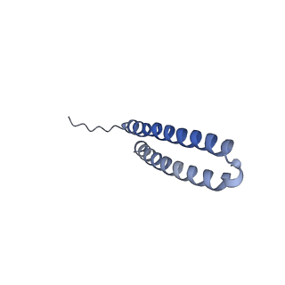 15573_8apk_R1_v1-0
rotational state 3 of the Trypanosoma brucei mitochondrial ATP synthase dimer