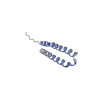 15573_8apk_S1_v1-0
rotational state 3 of the Trypanosoma brucei mitochondrial ATP synthase dimer