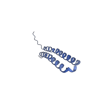 15573_8apk_T1_v1-0
rotational state 3 of the Trypanosoma brucei mitochondrial ATP synthase dimer