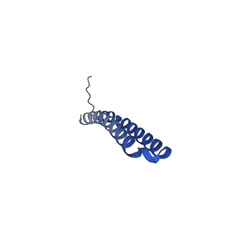 15573_8apk_U1_v1-0
rotational state 3 of the Trypanosoma brucei mitochondrial ATP synthase dimer