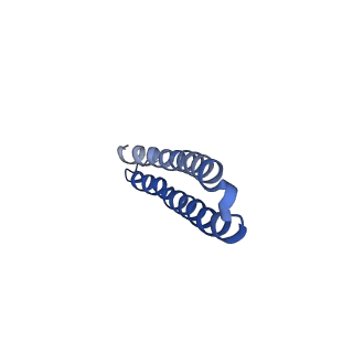 15573_8apk_W1_v1-0
rotational state 3 of the Trypanosoma brucei mitochondrial ATP synthase dimer