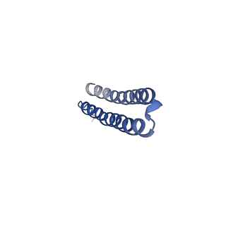 15573_8apk_X1_v1-0
rotational state 3 of the Trypanosoma brucei mitochondrial ATP synthase dimer