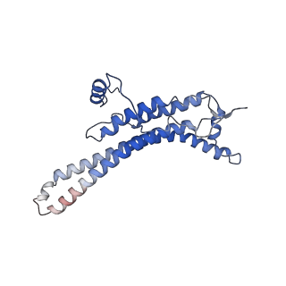 15573_8apk_a_v1-0
rotational state 3 of the Trypanosoma brucei mitochondrial ATP synthase dimer
