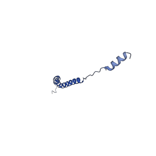 15573_8apk_c_v1-0
rotational state 3 of the Trypanosoma brucei mitochondrial ATP synthase dimer