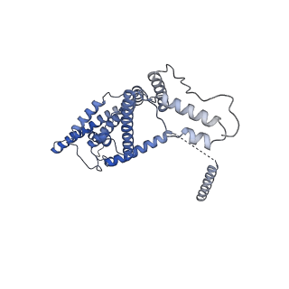 15573_8apk_d_v1-0
rotational state 3 of the Trypanosoma brucei mitochondrial ATP synthase dimer