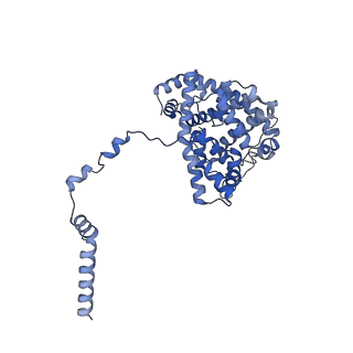 15573_8apk_e_v1-0
rotational state 3 of the Trypanosoma brucei mitochondrial ATP synthase dimer