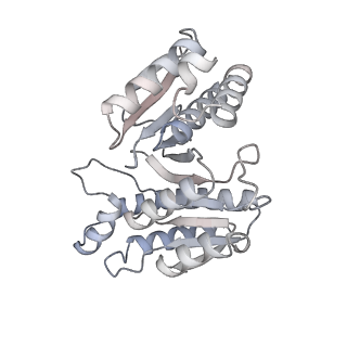 15573_8apk_g_v1-0
rotational state 3 of the Trypanosoma brucei mitochondrial ATP synthase dimer