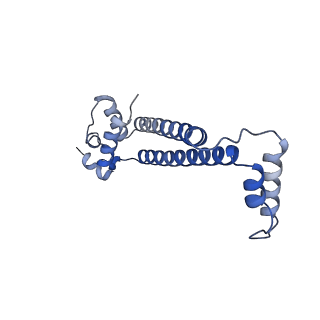 15573_8apk_j_v1-0
rotational state 3 of the Trypanosoma brucei mitochondrial ATP synthase dimer
