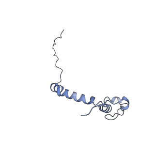 15573_8apk_k_v1-0
rotational state 3 of the Trypanosoma brucei mitochondrial ATP synthase dimer
