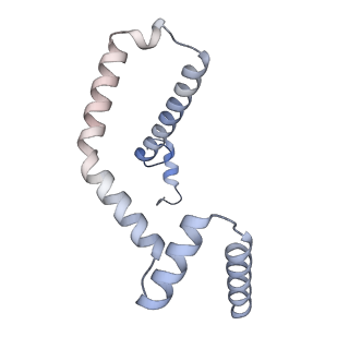 15573_8apk_m_v1-0
rotational state 3 of the Trypanosoma brucei mitochondrial ATP synthase dimer