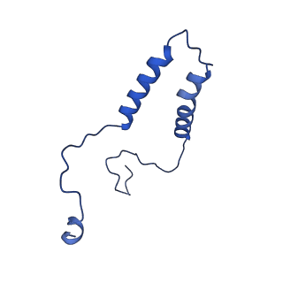 15573_8apk_q_v1-0
rotational state 3 of the Trypanosoma brucei mitochondrial ATP synthase dimer