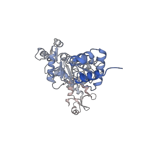 15574_8apl_A_v1-1
Vaccinia virus DNA helicase D5 residues 323-785 hexamer with bound DNA processed in C6
