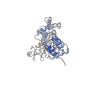 15574_8apl_B_v1-1
Vaccinia virus DNA helicase D5 residues 323-785 hexamer with bound DNA processed in C6