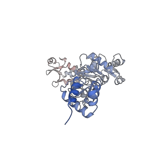 15574_8apl_C_v1-1
Vaccinia virus DNA helicase D5 residues 323-785 hexamer with bound DNA processed in C6