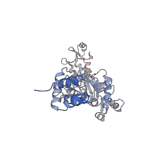15574_8apl_D_v1-1
Vaccinia virus DNA helicase D5 residues 323-785 hexamer with bound DNA processed in C6