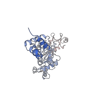 15574_8apl_E_v1-1
Vaccinia virus DNA helicase D5 residues 323-785 hexamer with bound DNA processed in C6